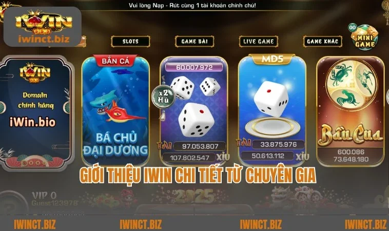 Bật mí chi tiết thông tin giới thiệu IWIN từ chuyên gia chia sẻ